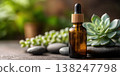 Amber glass dropper bottle with wooden cap beside succulent plants and smooth stones on wooden surface 138247798