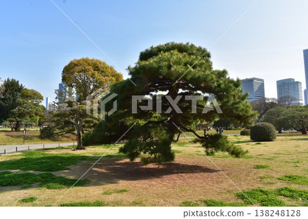 濱離宮花園 濱離宮花園 138248128
