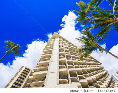 The image of Hawaii: resort hotels and palm trees The image of Hawaii: resort hotels and palm trees 138248465