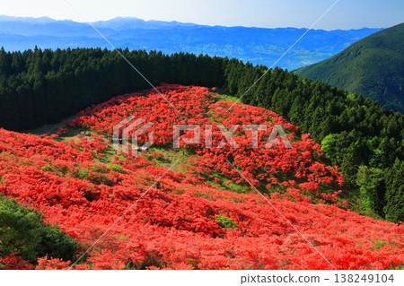 [奈良縣]葛城高原天然杜鵑花盛開的花園（一百萬棵） 138249104