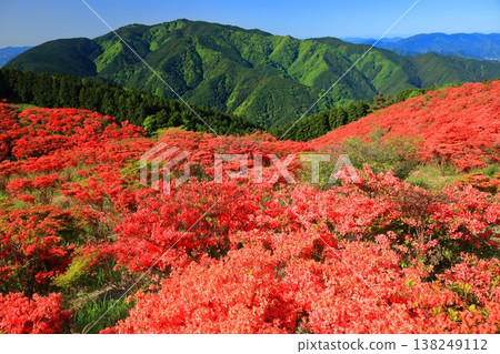 [奈良縣]葛城高原天然杜鵑花盛開的花園（一百萬棵） 138249112