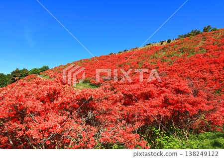 [奈良縣]葛城高原天然杜鵑花盛開的花園（一百萬棵） 138249122