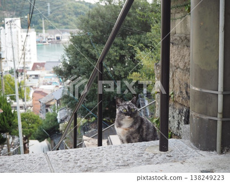 The alleys, harbor, and cats of Onomichi: A nostalgic glimpse into the hilly streets of Hiroshima Prefecture. The alleys, harbor, and cats of Onomichi: A nostalgic glimpse into the hilly streets of Hiroshima Prefecture. 138249223