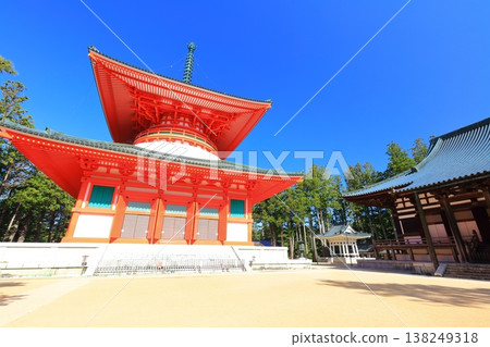 [Wakayama Prefecture] The Konpon Daito of Danjo Garan at Mt. Koya on a clear day 138249318