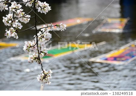 Iwakura Gojo River Nobori Washing Iwakura Gojo River Nobori Washing 138249518