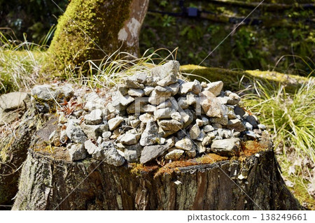 Stones piled on a tree stump Stones piled on a tree stump 138249661