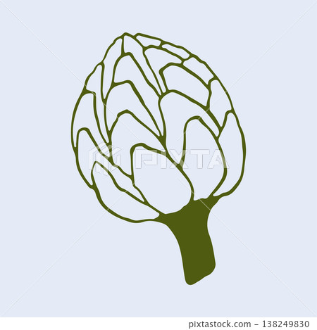Artistic vector drawing of a fresh artichoke in a minimalist hand drawn style. This healthy vegetable line art is ideal for gourmet cooking blogs and organic food packaging Artistic vector drawing of a fresh artichoke in a minimalist hand drawn style. This healthy vegetable line art is ideal for gourmet cooking blogs and organic food packaging 138249830