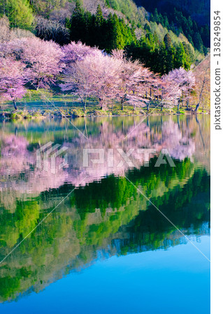 Nakanishi湖的Yoh Yamazakura Nakanishi湖的Yoh Yamazakura 138249854