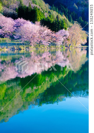 Nakanishi湖的Yoh Yamazakura Nakanishi湖的Yoh Yamazakura 138249855