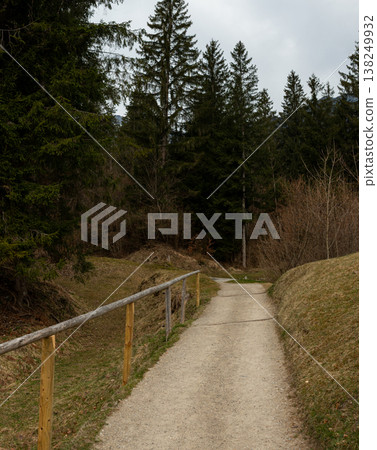 Forest path with wooden rail and evergreen trees in Bavaria Forest path with wooden rail and evergreen trees in Bavaria 138249932