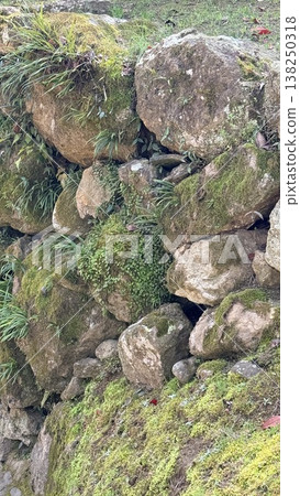長滿苔蘚的石牆 長滿苔蘚的石牆 138250318