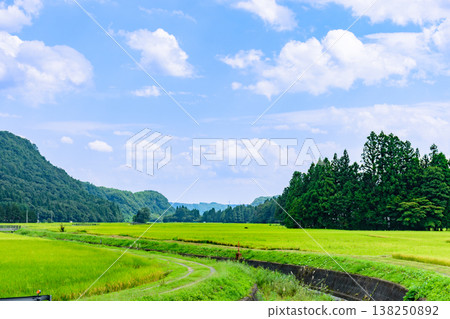 Autumn in the rice fields of Kotsudera Village: The rice harvest is just around the corner. Autumn in the rice fields of Kotsudera Village: The rice harvest is just around the corner. 138250892