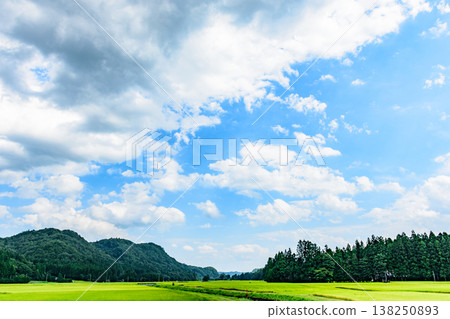 小津寺村稻田的秋天：水稻收割季即將到來。 138250893