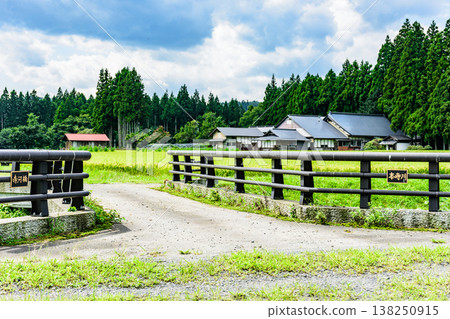 Autumn in the rice fields of Kotsudera Village: The rice harvest is just around the corner. Autumn in the rice fields of Kotsudera Village: The rice harvest is just around the corner. 138250915