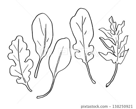 Line drawing illustration, simple illustration, baby leaf Line drawing illustration, simple illustration, baby leaf 138250921