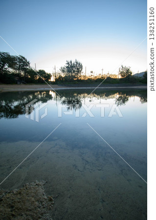 Trees reflected on the calm surface of the sea in the morning light (2) Trees reflected on the calm surface of the sea in the morning light (2) 138251160