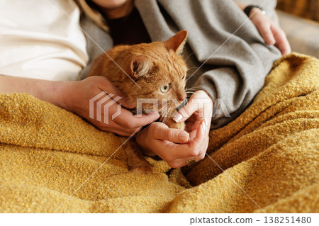 Close up of a person gently holding a ginger cat on a soft blanket indoors, conveying care, comfort and companionship. Ideal for pet care advertising, websites and lifestyle content. 138251480