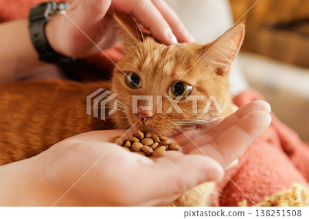 Close up of ginger cat eating dry pet food from owner hand indoors. Ideal for pet food advertising and pet care brand promotion. Close up of ginger cat eating dry pet food from owner hand indoors. Ideal for pet food advertising and pet care brand promotion. 138251508