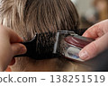 Hairdresser uses an electric clipper with guard to trim hair. Close-up of haircut process, grooming service, hygiene, and personal care concept in salon. 138251519