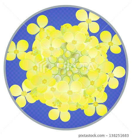 圓形背景的油菜花插圖 圓形背景的油菜花插圖 138251683
