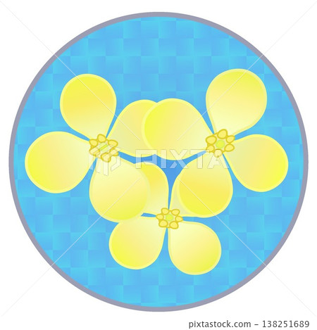 圓形背景的油菜花插圖 138251689