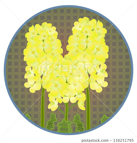 圓形背景的油菜花插圖 圓形背景的油菜花插圖 138251795