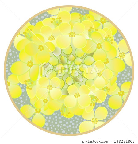 圓形背景的油菜花插圖 138251803