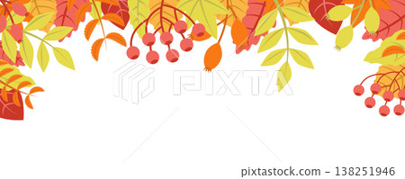 Autumn nature background with leafage pattern concept. Horizontal web banner with orange, red and yellow leaves and berries elements. Cute plants border. Vector illustration in flat design for website 138251946