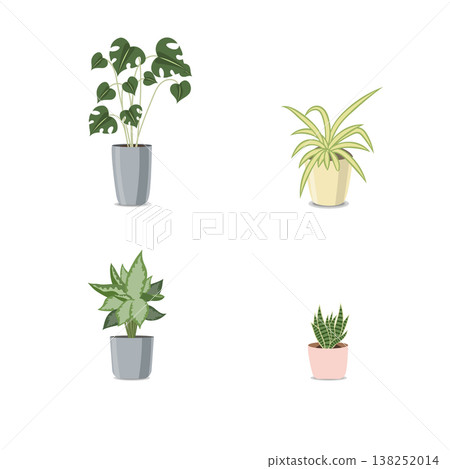 Set of houseplants in pots isolated on white background. Vector illustration. Set of houseplants in pots isolated on white background. Vector illustration. 138252014