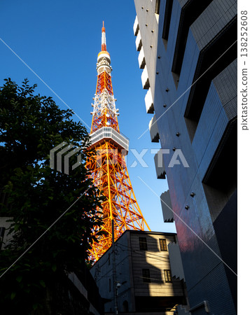 東京鐵塔 東京鐵塔 138252608