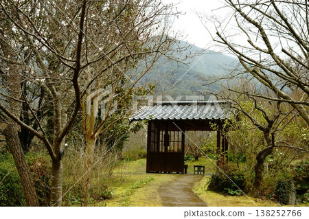 櫻花、涼亭和福地山 櫻花、涼亭和福地山 138252766