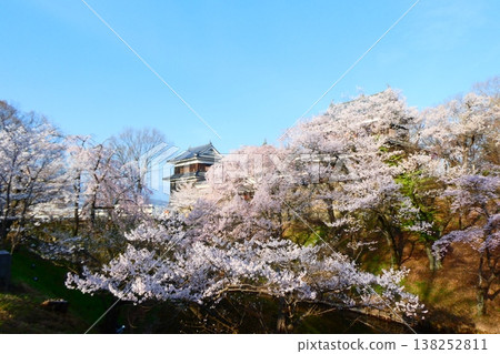 在Ueda城堡的櫻花破壞公園 在Ueda城堡的櫻花破壞公園 138252811