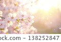 Background material featuring cherry blossoms in full bloom and the soft light of spring. Background material featuring cherry blossoms in full bloom and the soft light of spring. 138252847