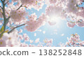Background image featuring cherry blossoms in full bloom against a blue sky, bathed in sunlight. Background image featuring cherry blossoms in full bloom against a blue sky, bathed in sunlight. 138252848