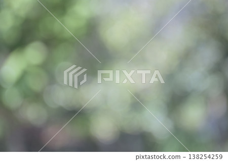 綠色、虛化、散景、虛化背景素材 138254259