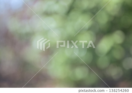 Green, out of focus, bokeh, out-of-focus background material 138254260