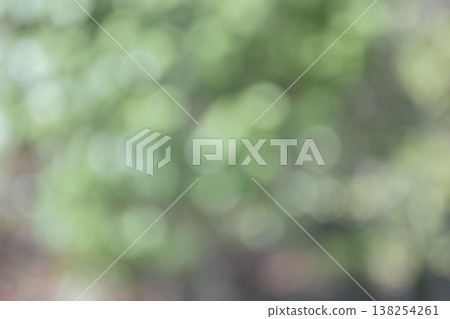 綠色、虛化、散景、虛化背景素材 138254261