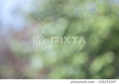 Green, out of focus, bokeh, out-of-focus background material Green, out of focus, bokeh, out-of-focus background material 138254267
