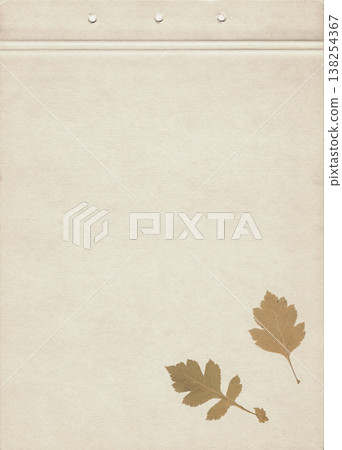 Minimal vintage paper background with dry autumn hawthorn leaves and a copy space, featuring soft aged paper texture. Elegant textured rustic backdrop for botanical layouts and nature inspired designs Minimal vintage paper background with dry autumn hawthorn leaves and a copy space, featuring soft aged paper texture. Elegant textured rustic backdrop for botanical layouts and nature inspired designs 138254367