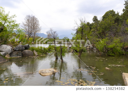 Amazing view of the Black Dragon Pool in the Jade Spring Park, Lijiang, Yunnan province China. 138254382