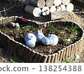 White bird and blue bird 138254388