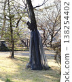 Tree in the park 138254402