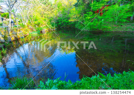 忍野八戒的美景 忍野八戒的美景 138254474