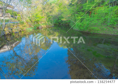 忍野八戒的美景 忍野八戒的美景 138254477