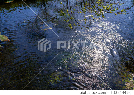 忍野八戒的美景 忍野八戒的美景 138254494