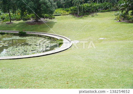 Peaceful Garden Pond with Lily Pads and Green Lawn 138254652