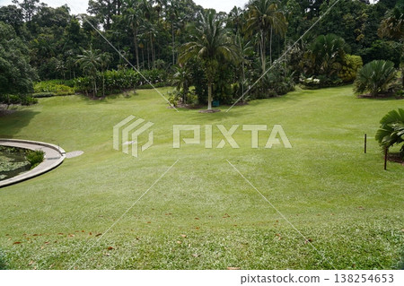 Lush Green Lawn with Palm Trees in a Tropical Landscape 138254653