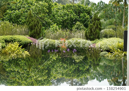 Scenic Gardens by the Water with Plant Reflections Scenic Gardens by the Water with Plant Reflections 138254901