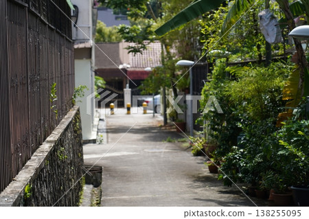 Picturesque Alleyway with Lush Greenery in Sunlight Picturesque Alleyway with Lush Greenery in Sunlight 138255095