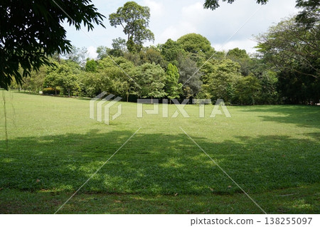 Lush Green Field Surrounded by Trees Landscape Scene 138255097